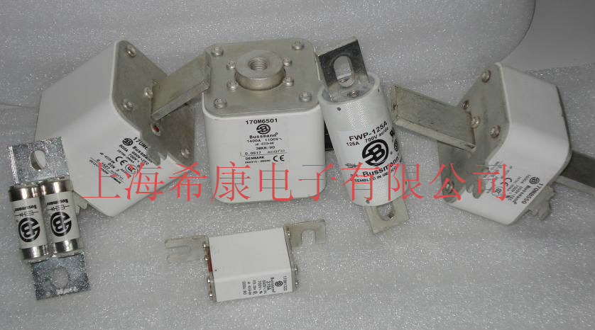 170M1320,170M1321-BUSSMANN