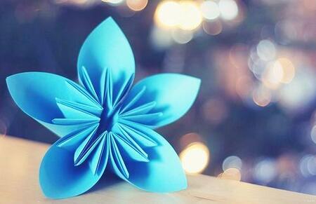 dӿƼ޹˾