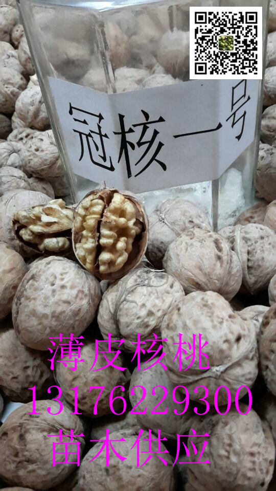 ӱ_ˮںһ̖