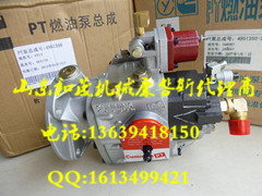 4951361ȼͱ ˹K38l늙CMȼͱ  ȫ̓r