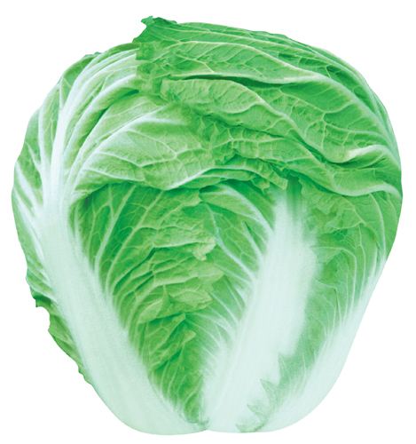 IBʮǭ؛ɽЙC߲˴ײ