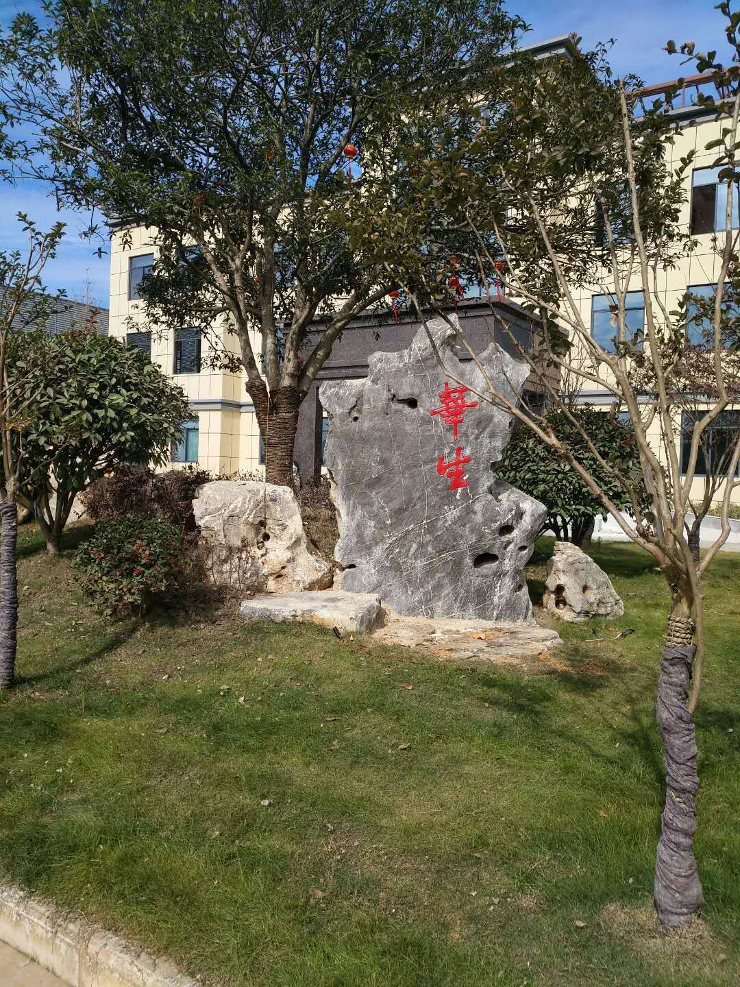 亸CSЩ