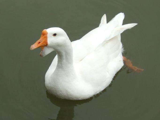 ClЈ ķr  ຣZ繩  ߅