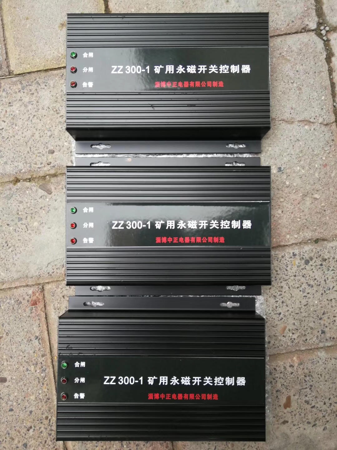 ZZ300-1_P