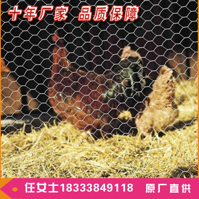 СǾW QǇ uWڟN