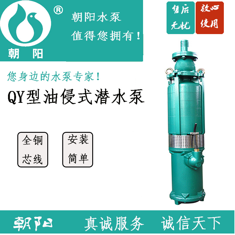 QY25-40-5.5ˮˮbΣƷ|
