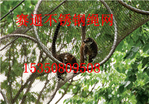 ΘOʩoW PKW