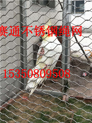 P䓾KW ֲWS