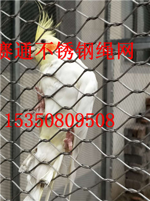@P䓇W BWNۏS