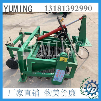 ǰôոC ӺY݆CմCCCմC