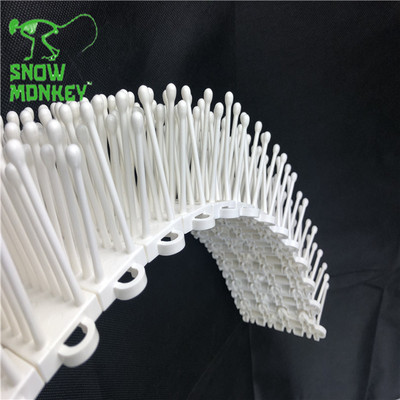 snowmonkeyح⺵ѩµح OٻѩѩaS