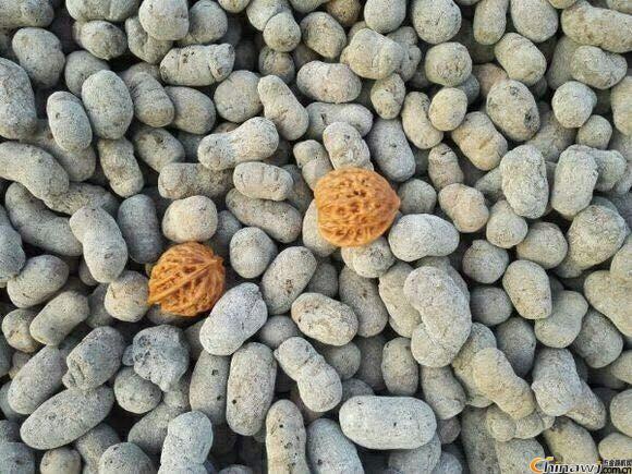 ɰN-Ҏ10-30mm