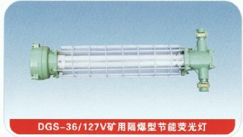DGS36W/127Vpܟɹ