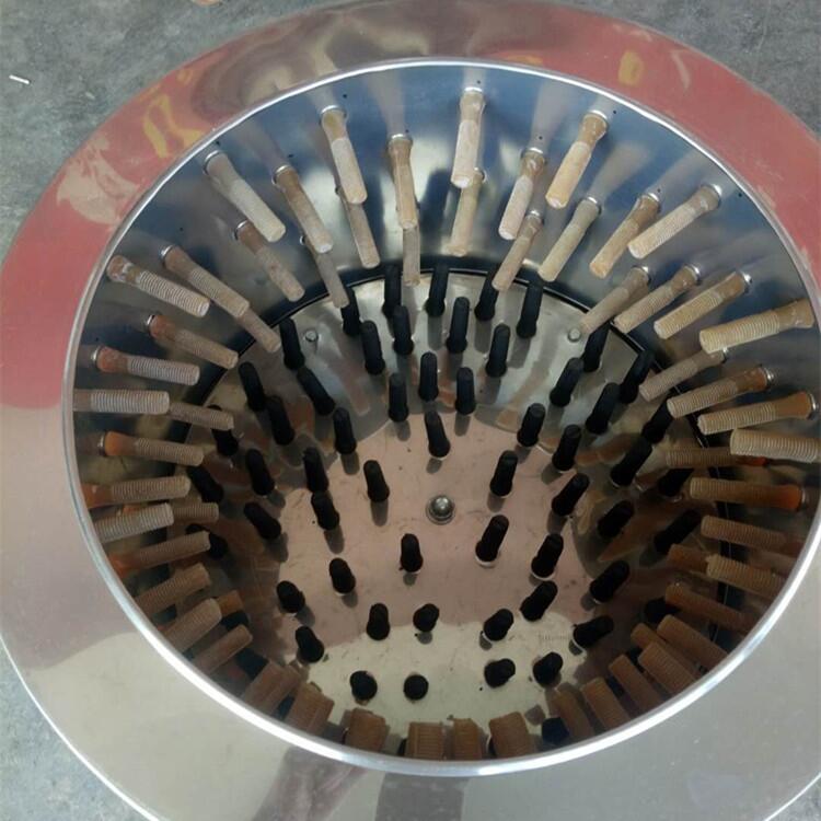 60ÓëC PÓëCl ȫ̩IaȥëCëC
