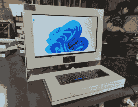 Ն늚޹˾ӋC