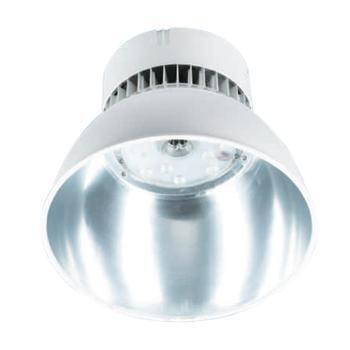 LED픟 RLEHB0011-XL100II100WS