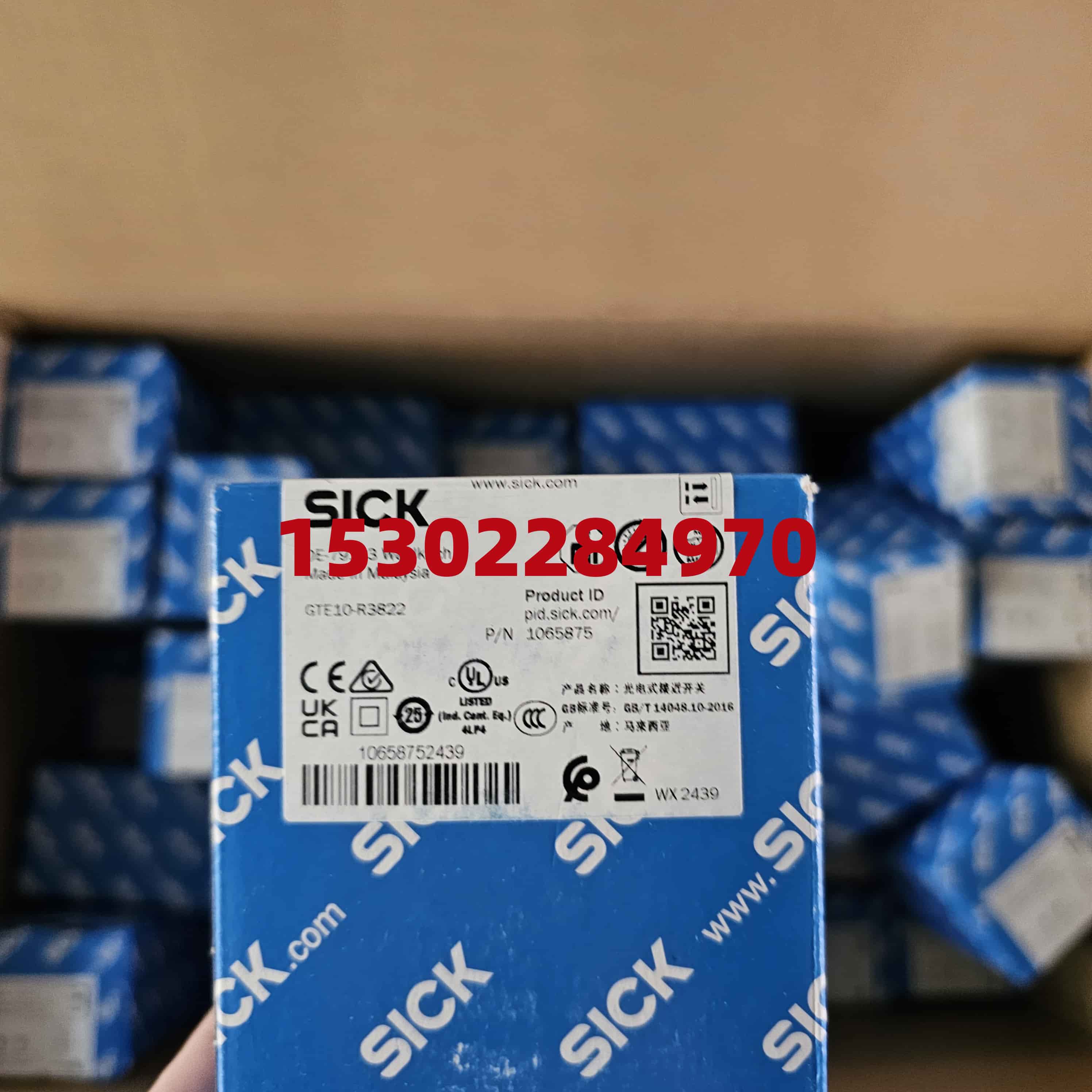 SICK GTE10-R3822/GTE10-R3821
