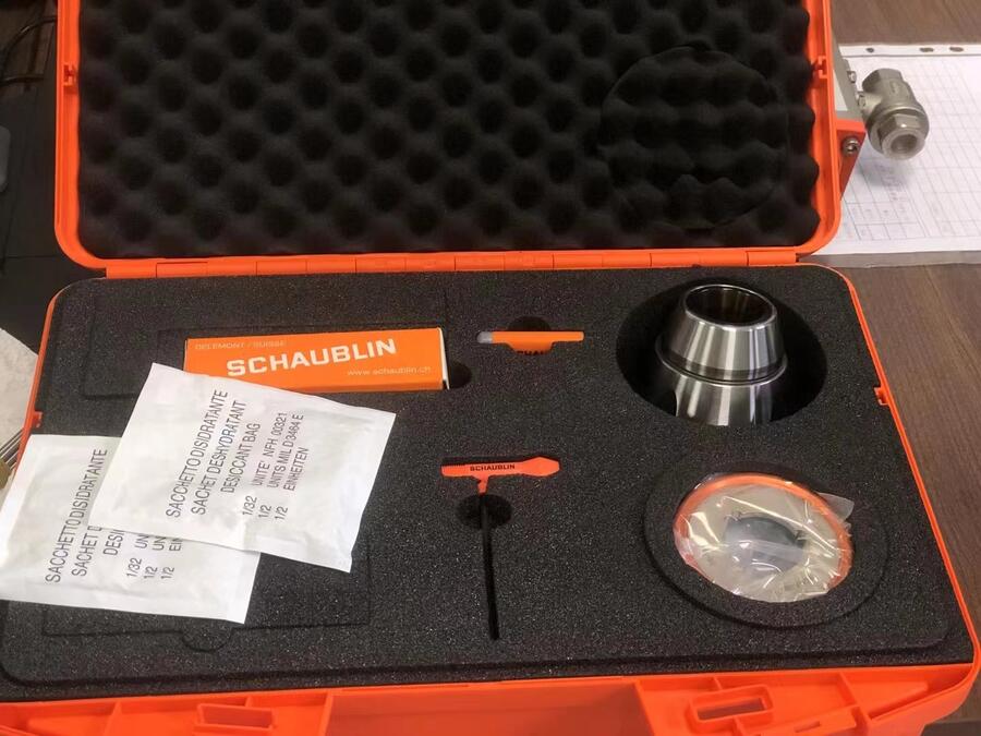 SĥÊA^-SCHAUBLINͲA