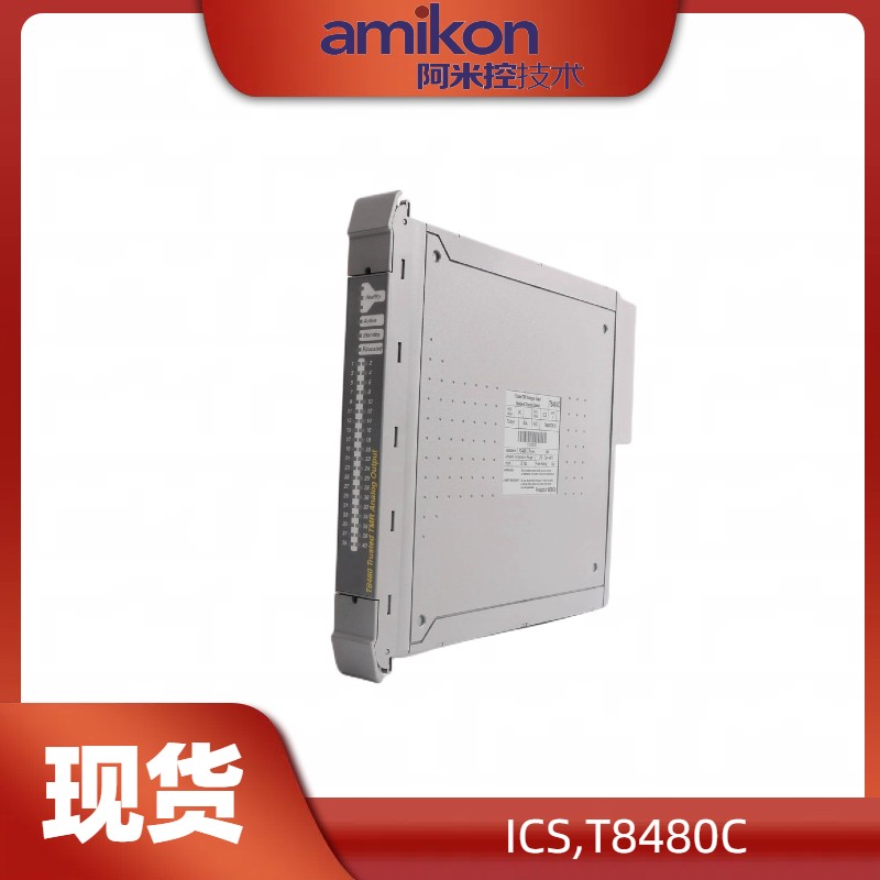 ICS T8480CݔݔģK