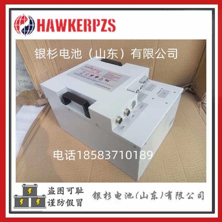 ӢgenesisZ˹NP200-12늳12V200AHֱtUPSԴ