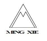 VǪᷙCO޹˾