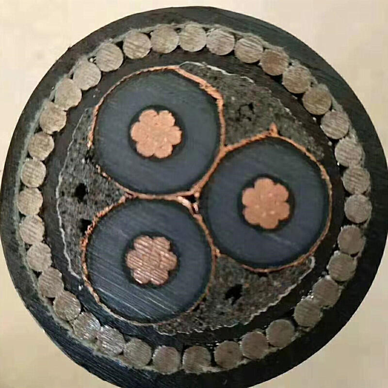 WDMYJY33䓽zzb͟ou|6/10KV3x185