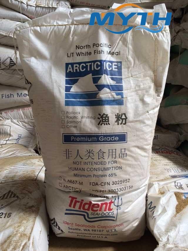 ͻ˹̹~MڈP˾