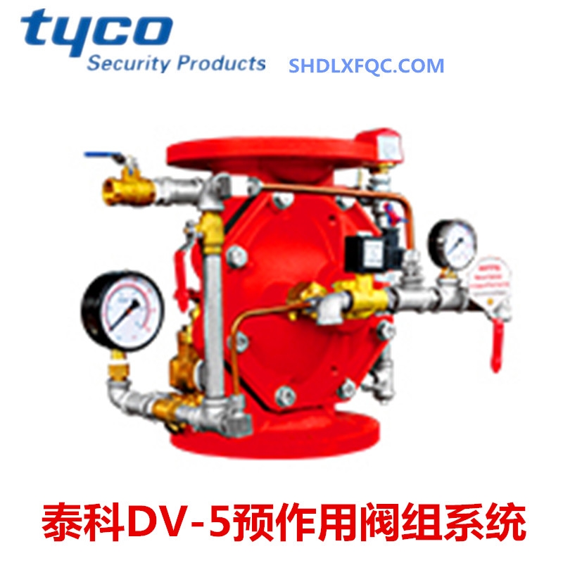 FMJCDPV-1y SUVyϺΨyTƼ޹˾