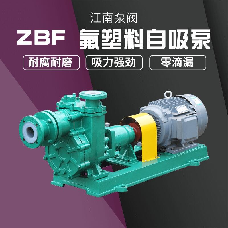 65ZBF-20ķʽ ϴgˮ
