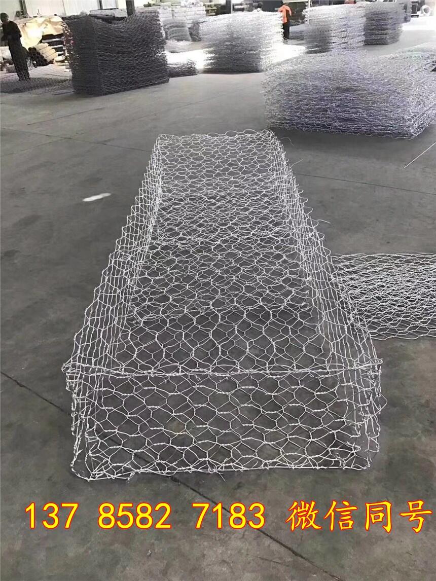 2020僸ߠZo|r _GI| ̞I\oo