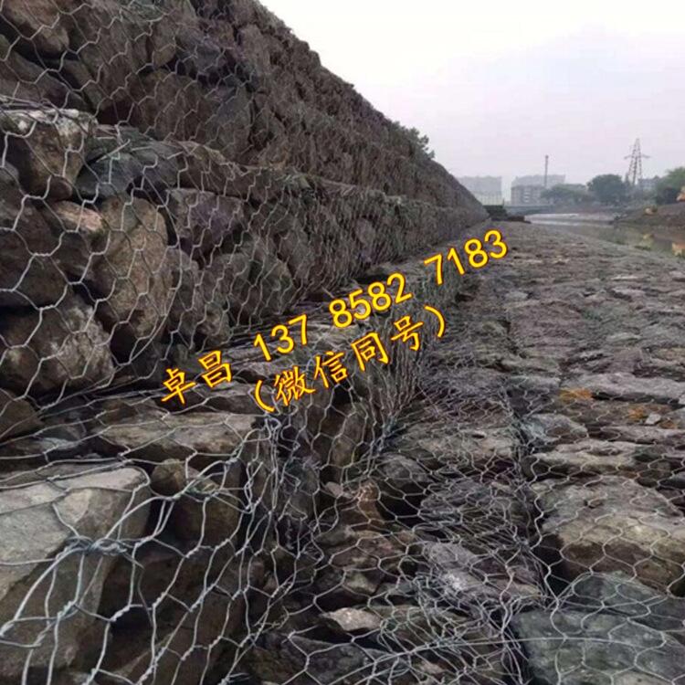 Zo|oʩ \XϽeʯ\r Be\