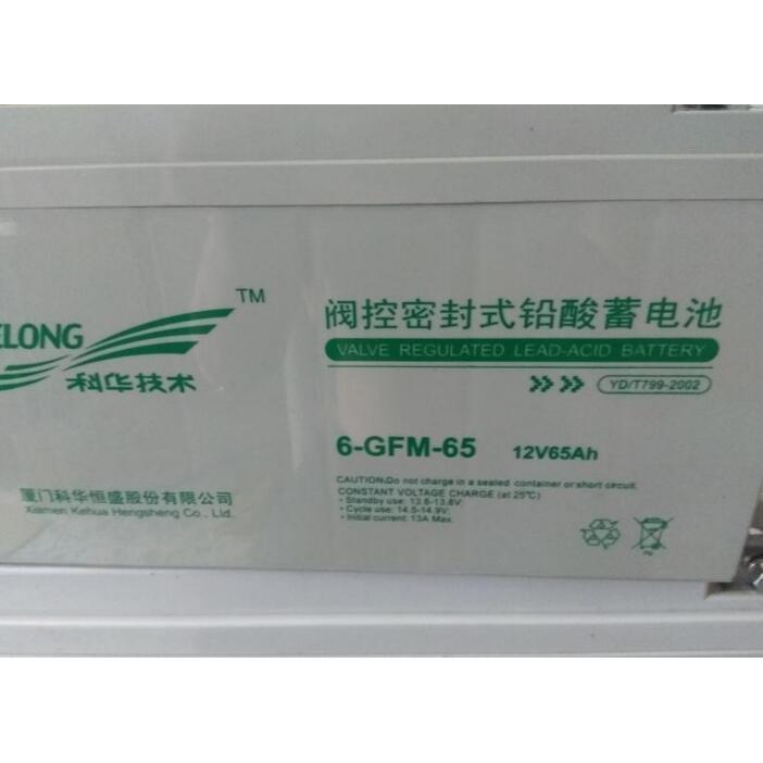 GTпA늳6-GFM-65-YTU늳12V65AHr