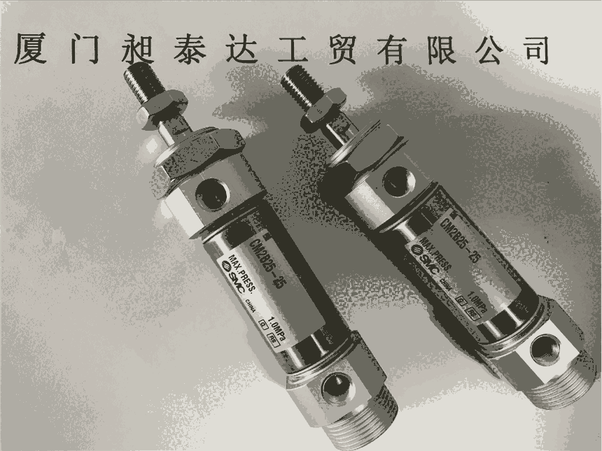 ձSMC CM2B25-25