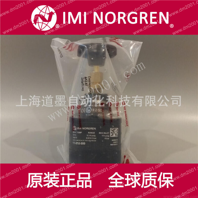 11-818-100 110 991 998 ӢNorgren{yZ