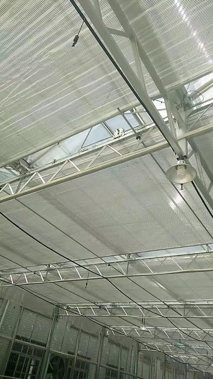 ꖲϵķx