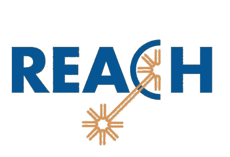 REACHyԇĿЩzyʲô