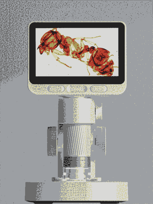 ؂[ͯ@΢R]׌MƌW JR