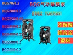 BQGӸĤ14a