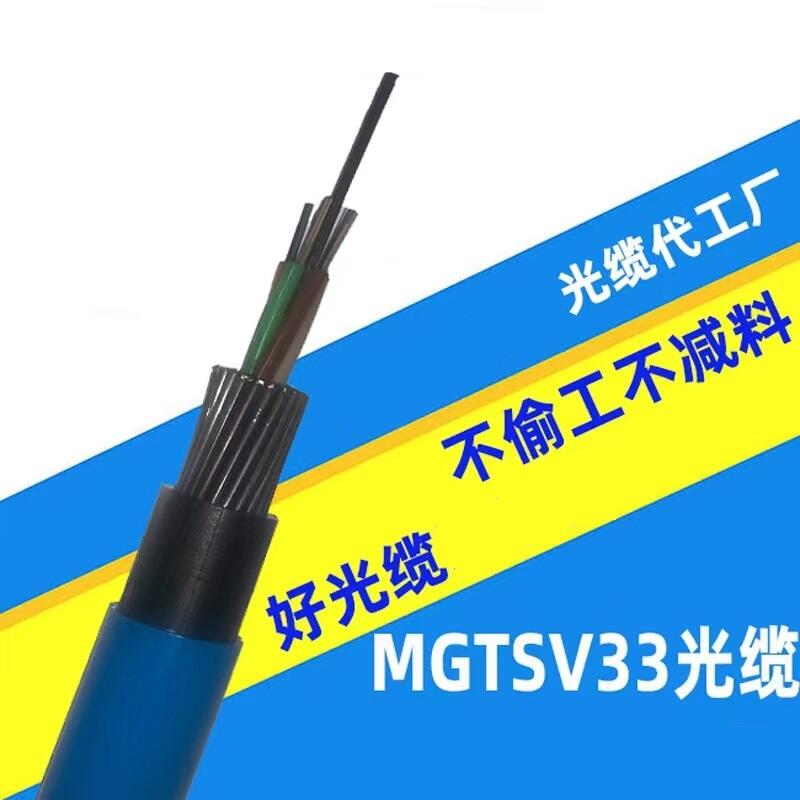 ຣSϾͲwMGTS-48B