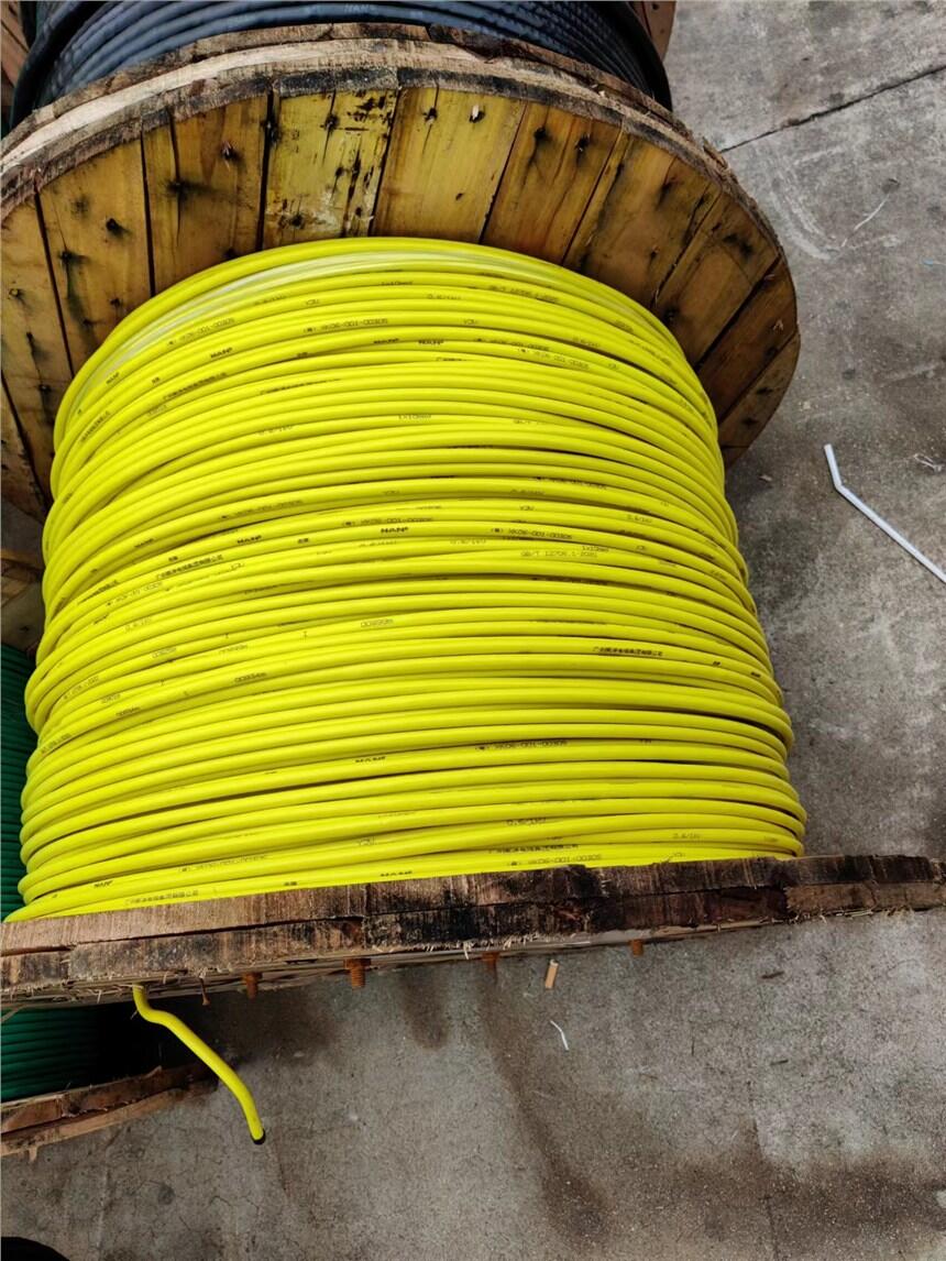 V|FSҹYJV-0.6/1kV-1*10ϵ~о|