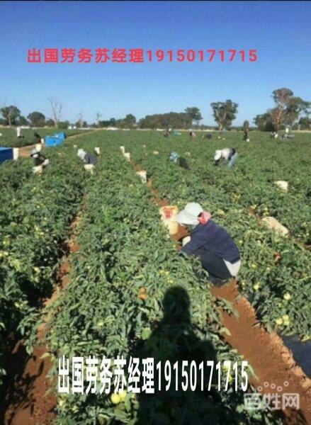 mֱнչס