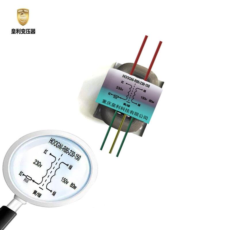 R65 230v:150V 80wVxxrԴ׃