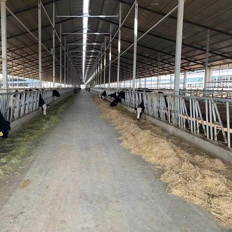 ĴӺţiϽY͸gţi