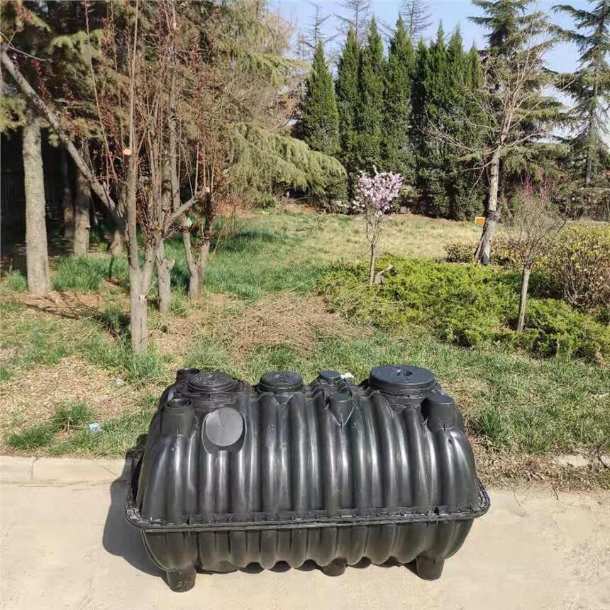 ʽS ӺCpeϻS ߂Sl