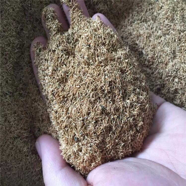 |ʡCշN؛