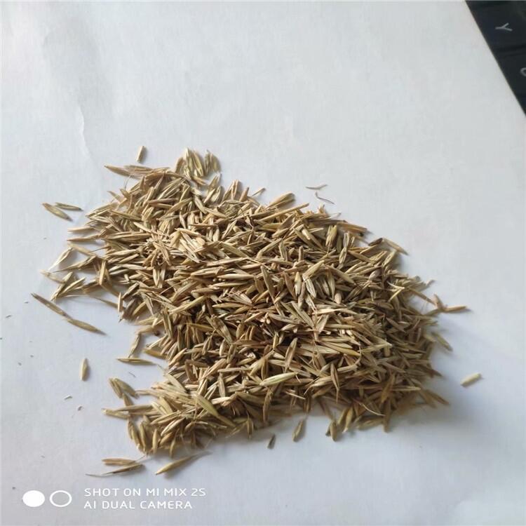 |ʡAݷN؛l