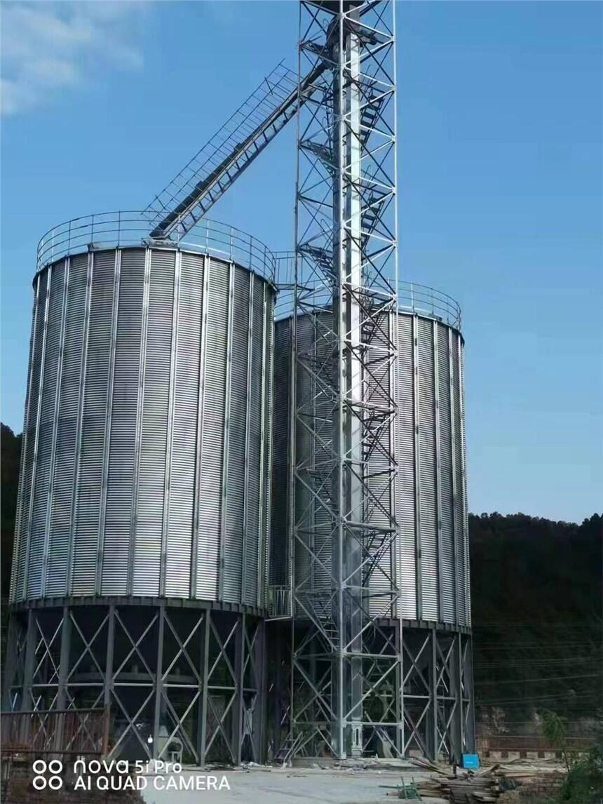 S800Zʳ䓰}