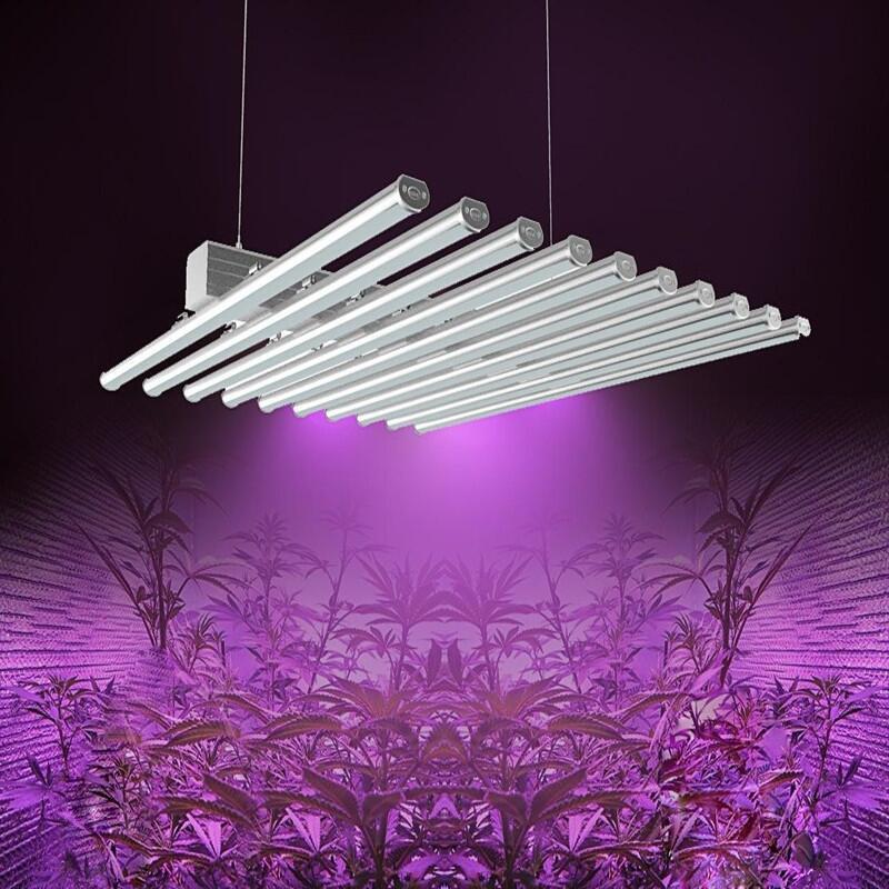 NˎNֲ480Wצ~ֲ ҷNֲ LEDֲ leda