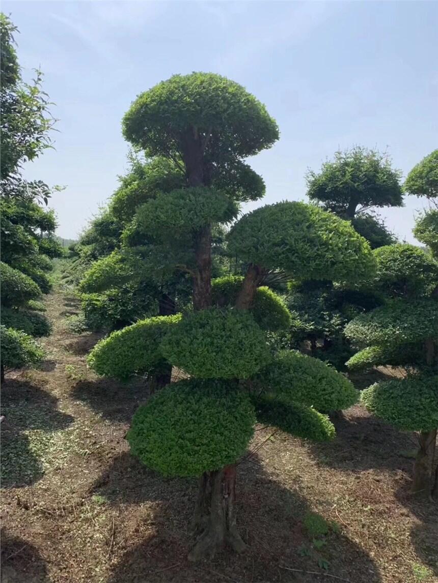 Ϟ