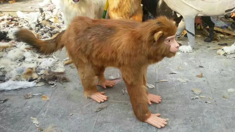 3Dģӷղ^ģͶ